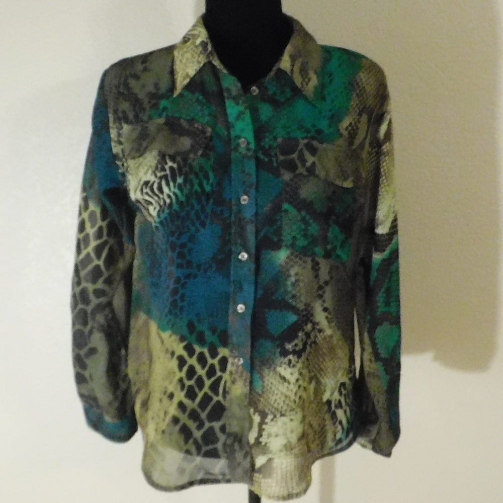 Sheer Green and Blue Button Down